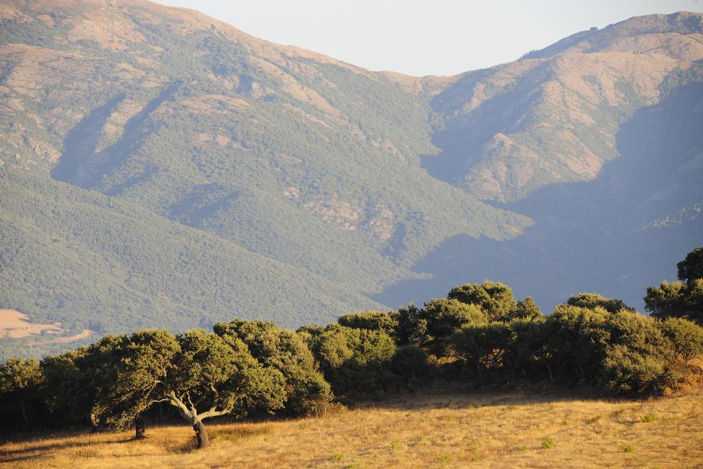 Agriturismo Rocca Su Moru Villa Arbus Eksteriør bilde