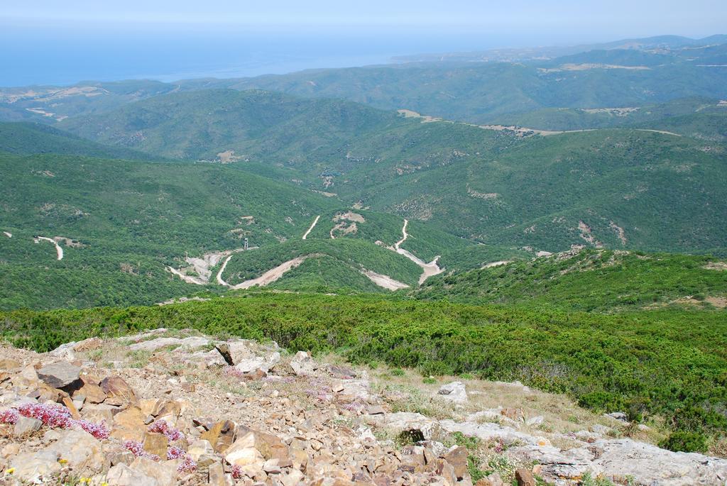 Agriturismo Rocca Su Moru Villa Arbus Eksteriør bilde